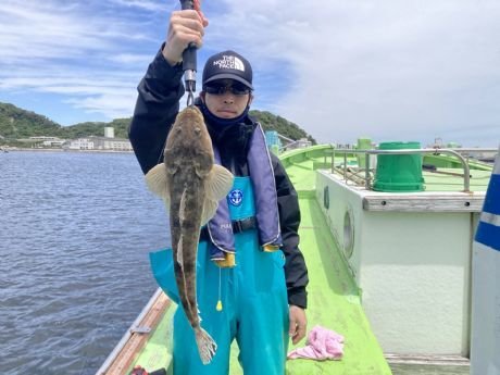 マゴチ