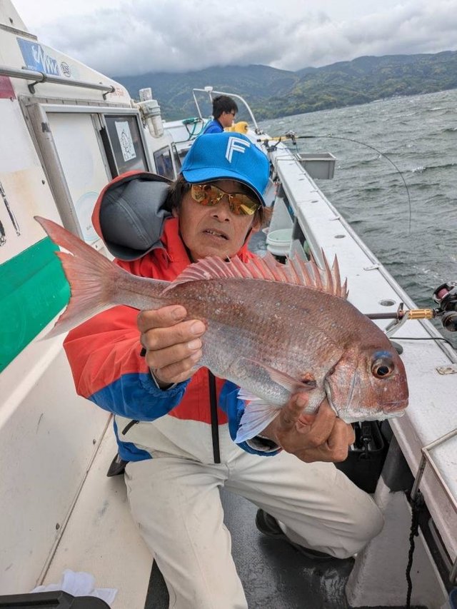 マダイ