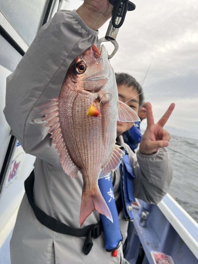 マダイ