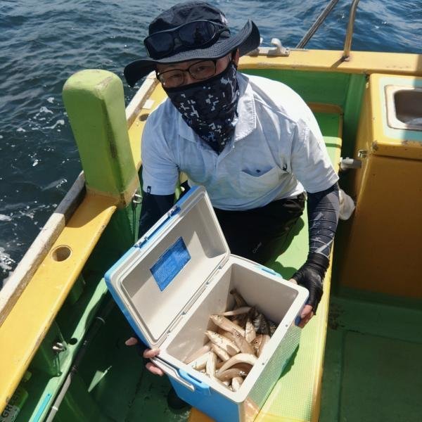 シロギス