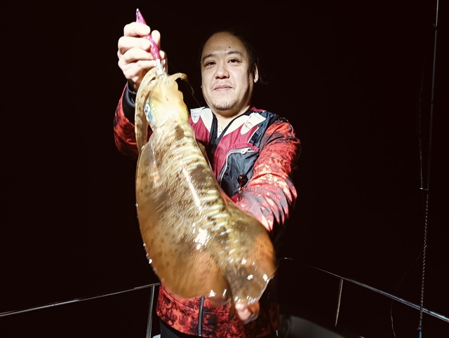 アオリイカ