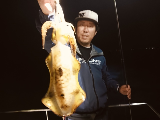 アオリイカ