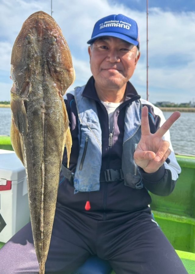 マゴチ