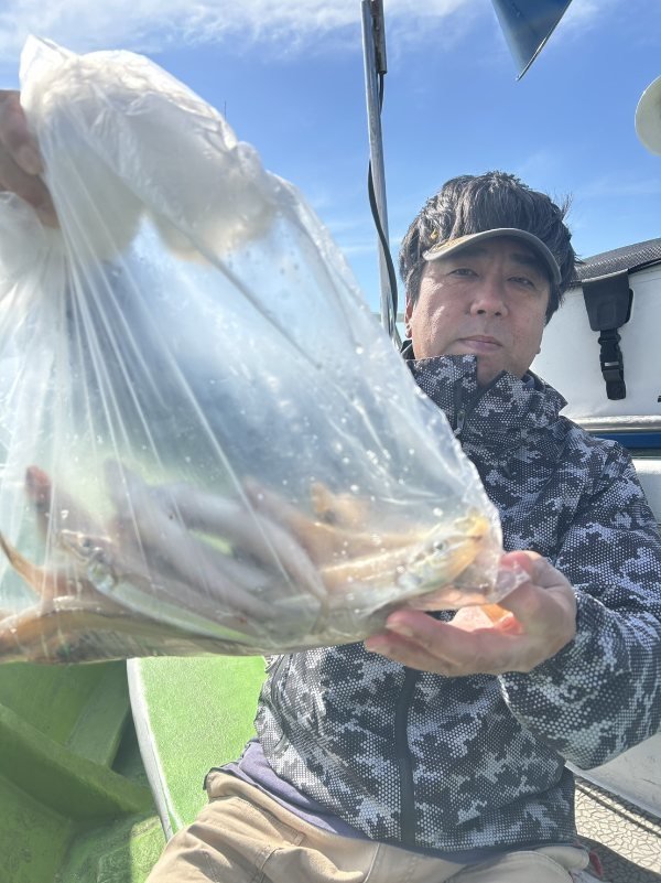 シロギス