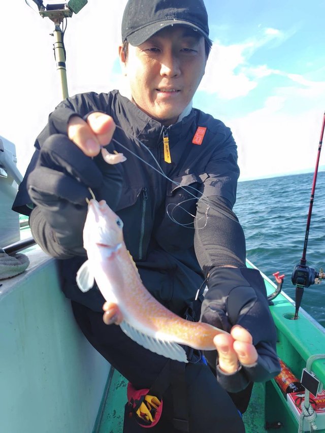 シロアマダイ