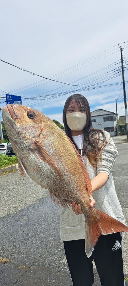 マダイ