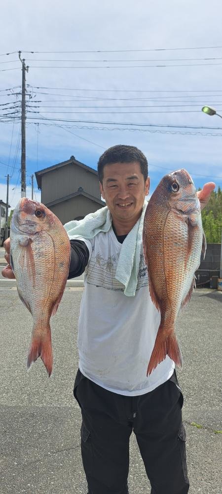 マダイ