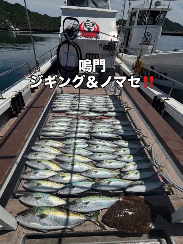 マダイ・メジロ(ブリ)・ヒラメ