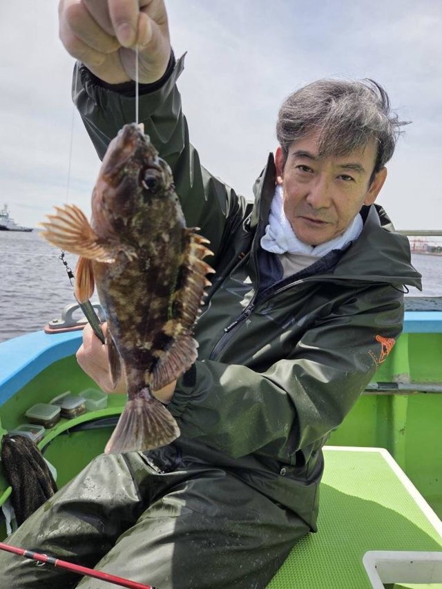 カサゴ