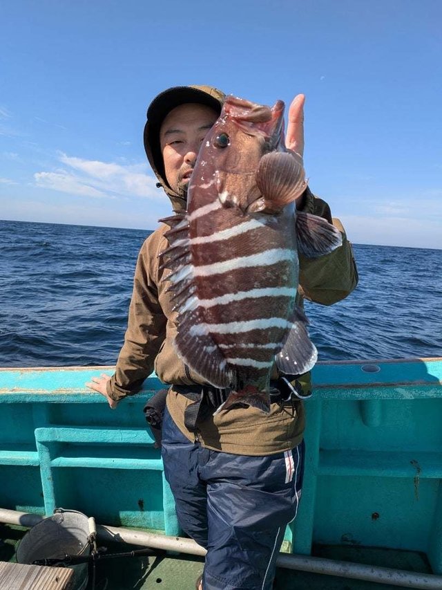マハタ