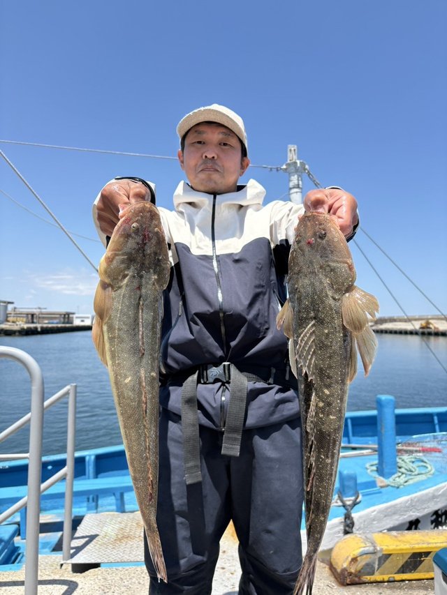 マゴチ