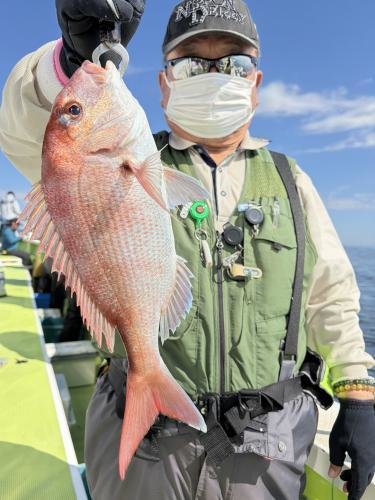 マダイ