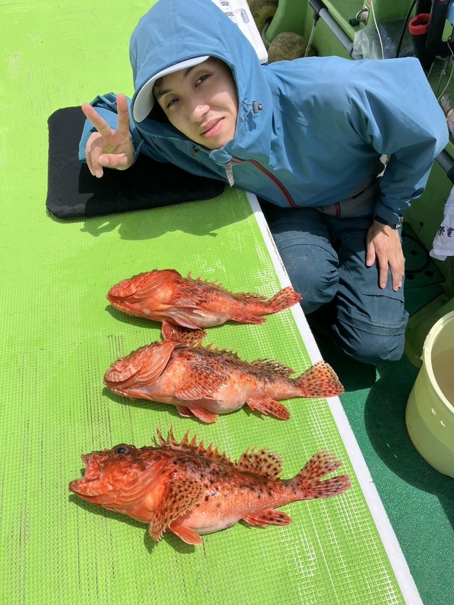 オニカサゴ