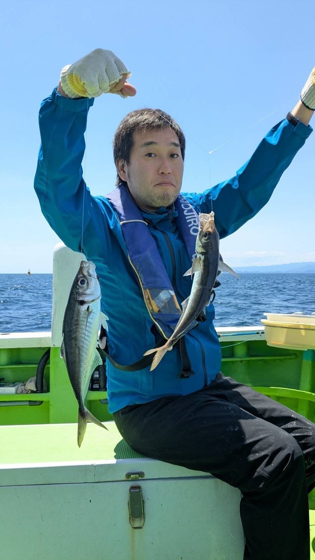 アジ(マアジ)