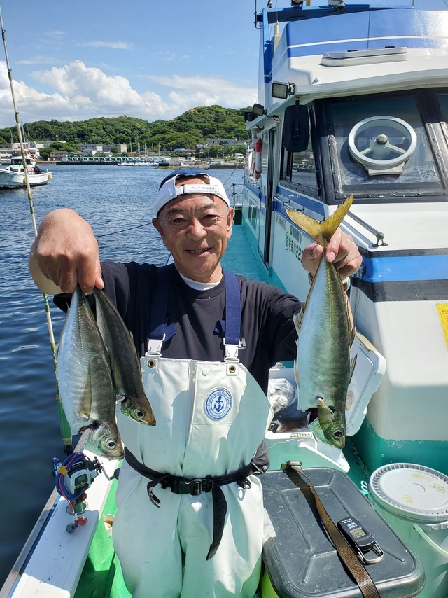 アジ(マアジ)