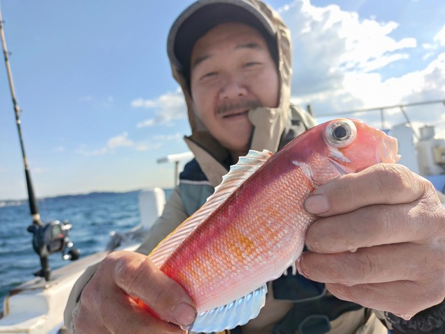 アマダイ(アカアマダイ)