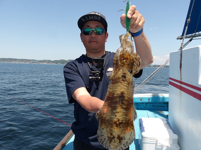 アオリイカ