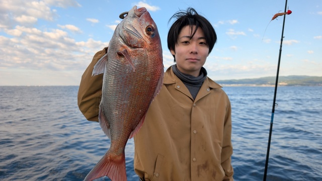 マダイ