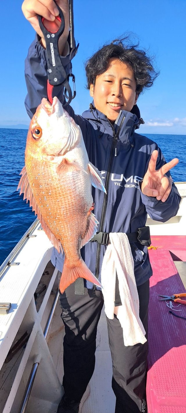 マダイ