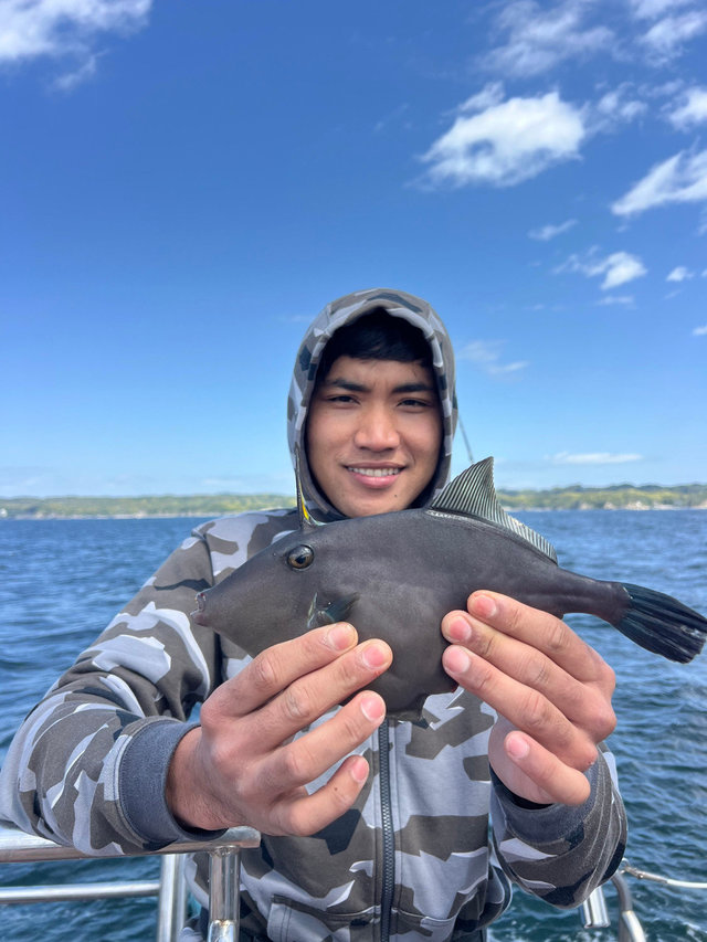 ウマヅラハギ