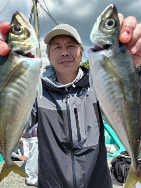アジ(マアジ)