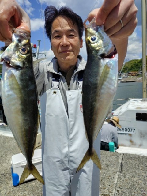アジ(マアジ)