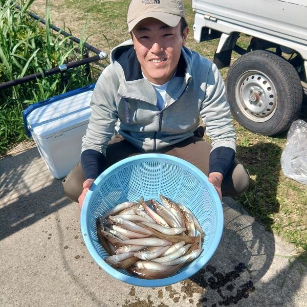 シロギス