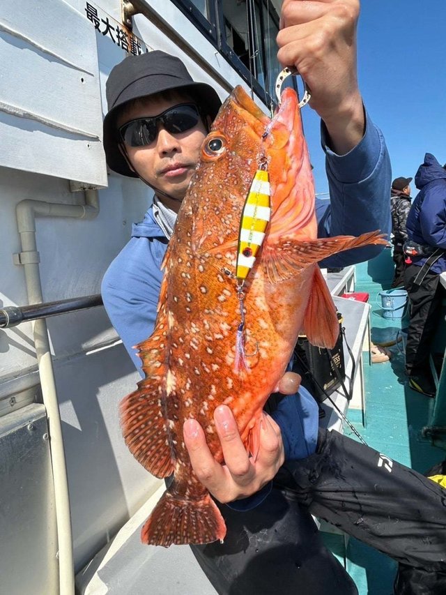 ウッカリカサゴ