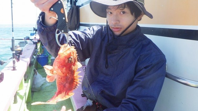 オニカサゴ
