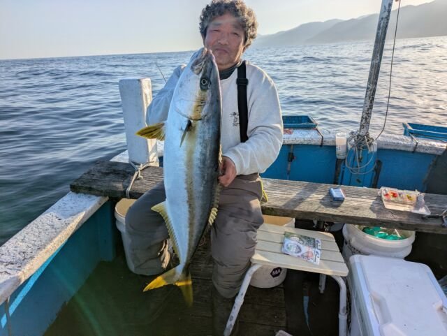ヒラマサ