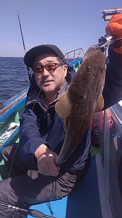 マゴチ