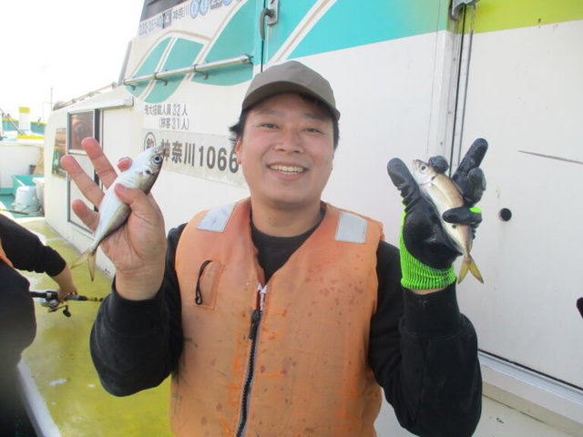 アジ(マアジ)