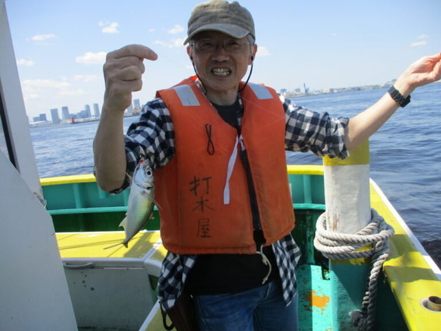 アジ(マアジ)