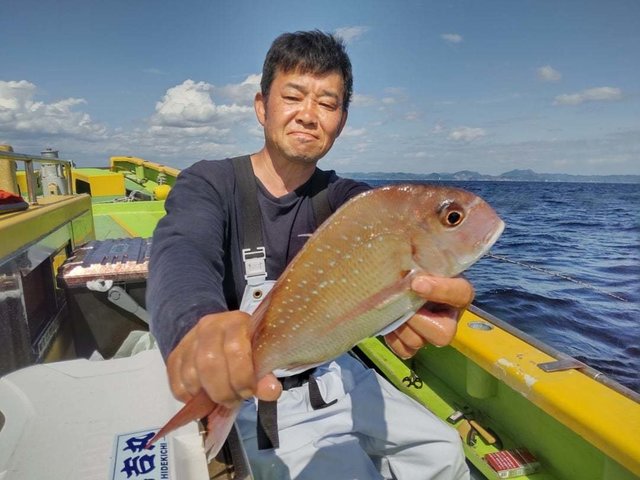 マダイ