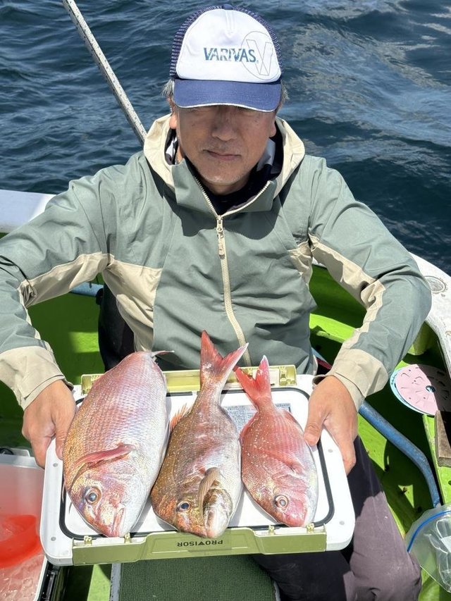マダイ