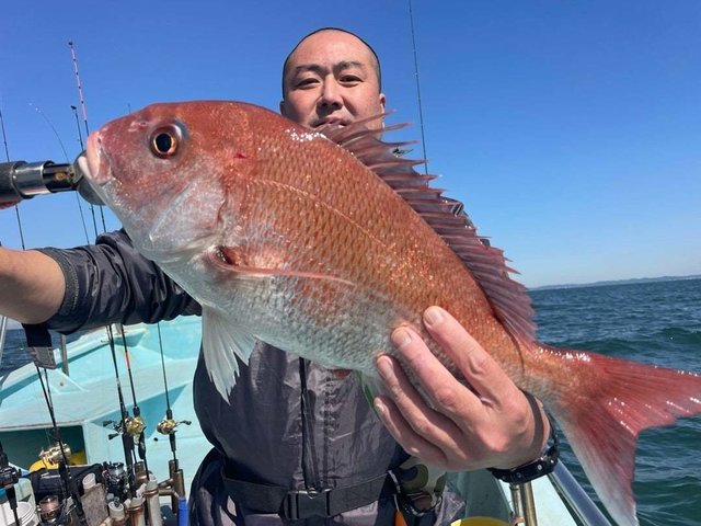 マダイ