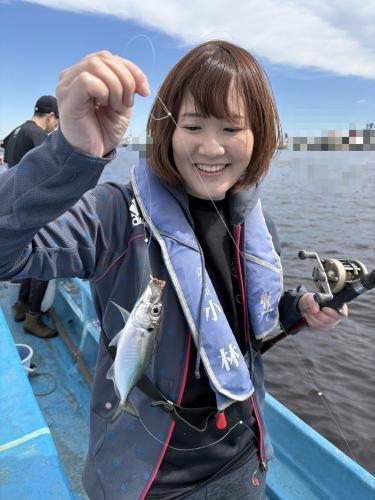 アジ(マアジ)
