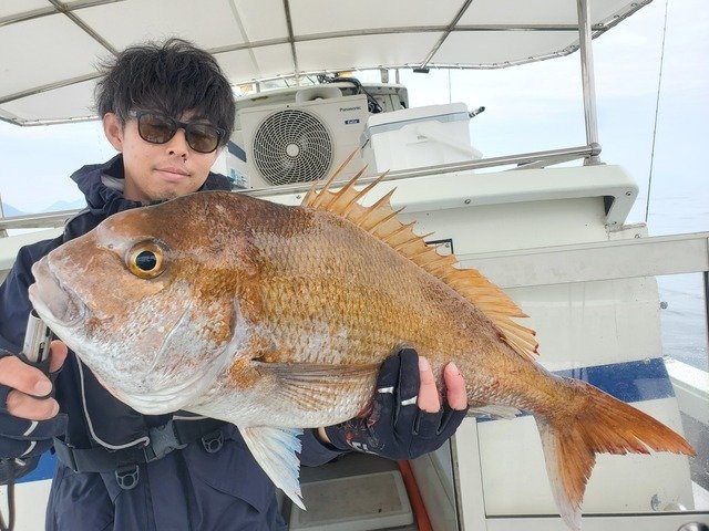 マダイ
