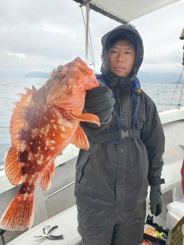 ウッカリカサゴ