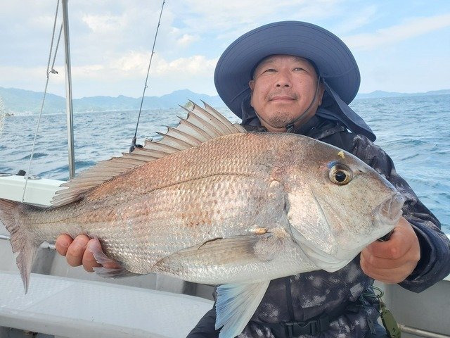 マダイ