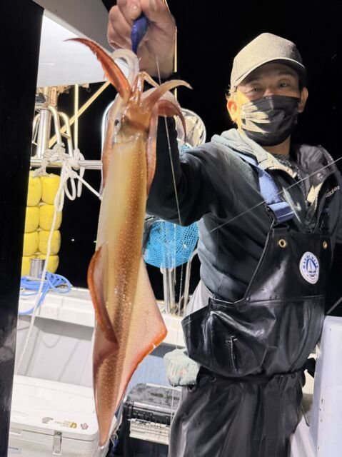ケンサキイカ