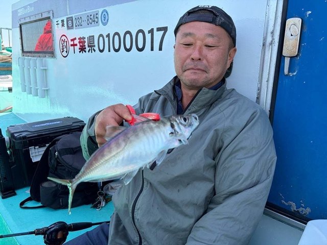 アジ(マアジ)