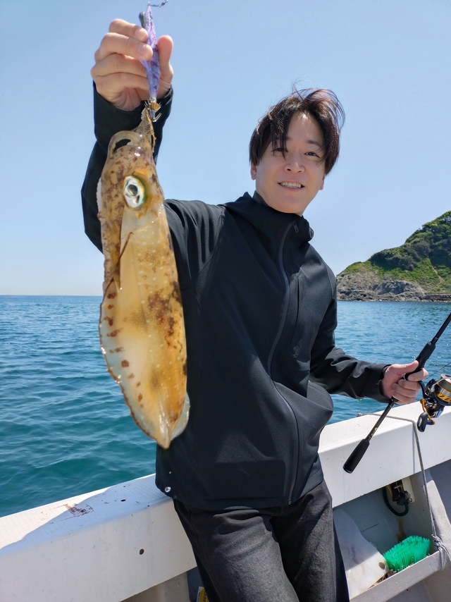 アオリイカ