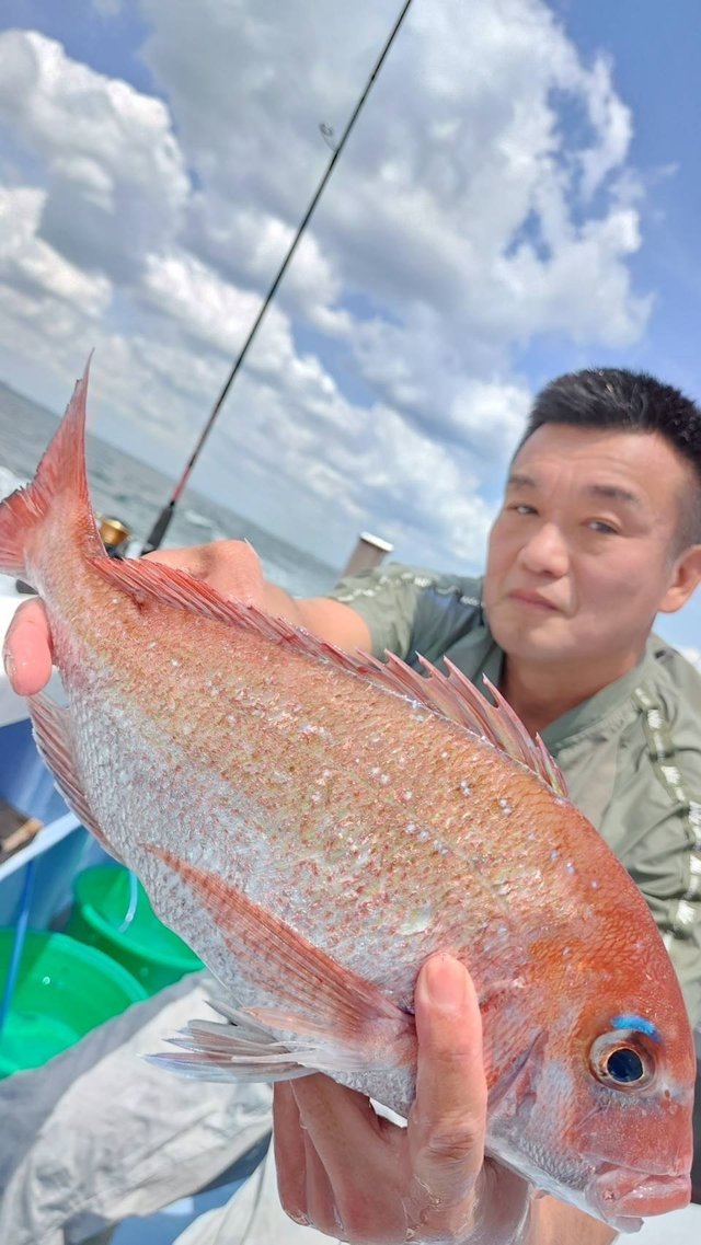マダイ