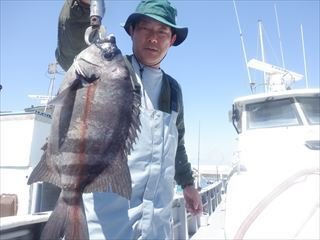 イシダイ
