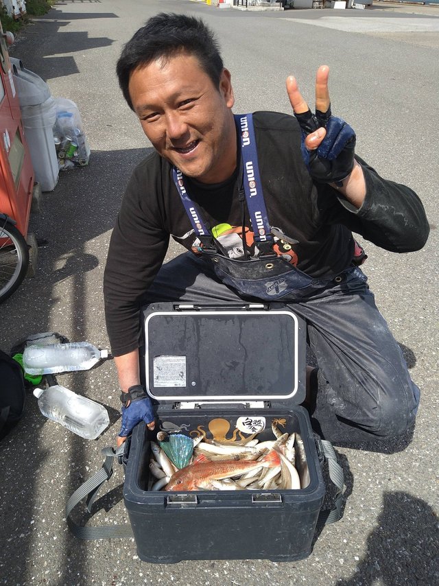 シロギス
