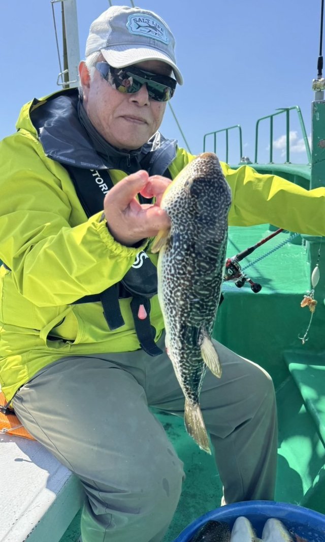 ショウサイフグ
