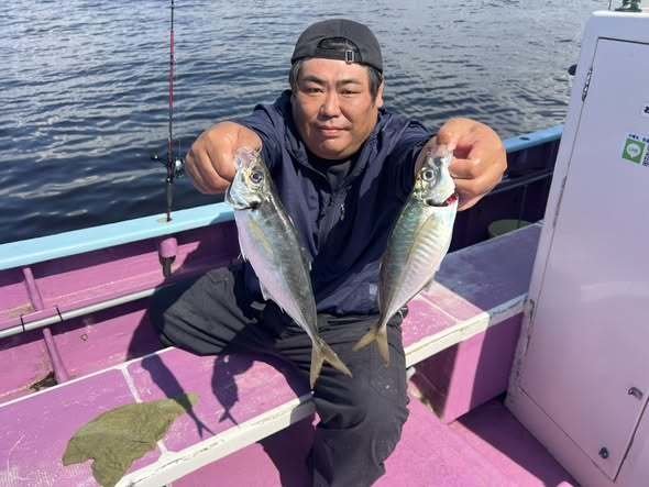アジ(マアジ)