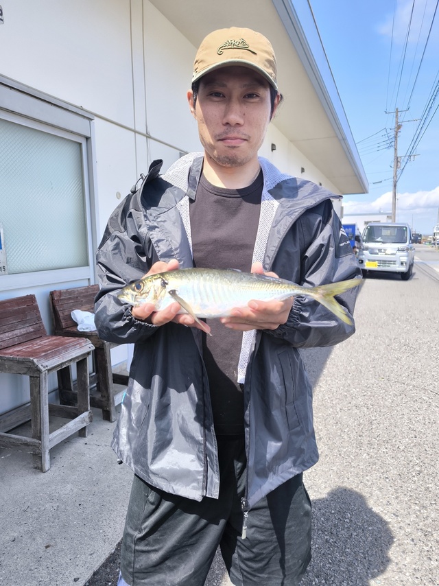 アジ(マアジ)