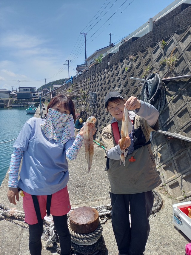 ヤリイカ